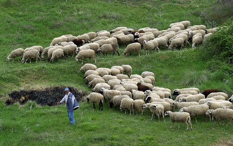 Γιατί διαμαρτύρονται οι κτηνοτρόφοι Γρεβενών και Ηπείρου