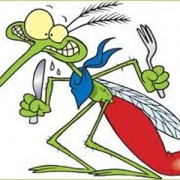 Οι τροφές που απωθούν τα κουνούπια