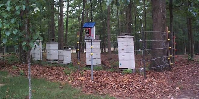 Ενημέρωση μελισσοκόμων και κτηνοτρόφων για τη δράση  «Αγορά και εγκατάσταση ηλεκτροφόρου  περίφραξης»