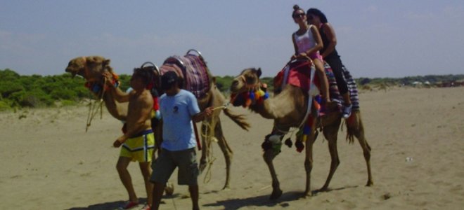 Στην Πάτρα πάνε για μπάνιο με…καμήλες [βίντεο]