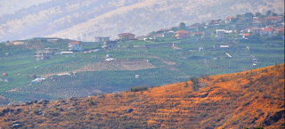Το αλβανικό χωριό που αποτελεί την πρωτεύουσα της κάνναβης στην Ευρώπη – Το 90% των κατοίκων καλλιεργεί φυτείες