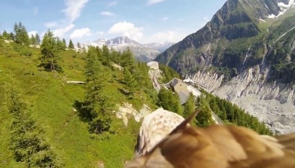 Εκπληκτικό video από κάμερα προσαρμοσμένη σε αετό [Video]