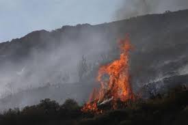 Μεγάλη πυρκαγιά σε δασική περιοχή στο Μέγαρο Γρεβενών