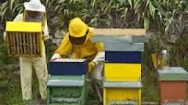 Γενική Συνέλευση του Μελισσοκομικού Συλλόγου Γρεβενών