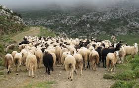 Συγκέντρωση αγροτών και κτηνοτρόφων της Δυτικής Μακεδονίας