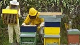 Γενική συνέλευση του Μελισσοκομικού συλλόγου Γρεβενών το Σάββατο 1 Φεβρουαρίου