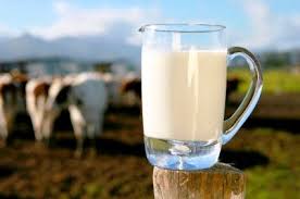 Πλήγμα για την κτηνοτροφία η κατάργηση του όρου ΄΄φρέσκο γάλα΄΄