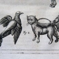 Γάτες-ρουκέτες και περιστέρια-βόμβες από οδηγό πολέμου του 16ου αιώνα