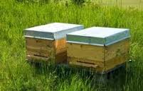 Ανακοίνωση Μελισσοκομικού Συλλόγου Γρεβενών