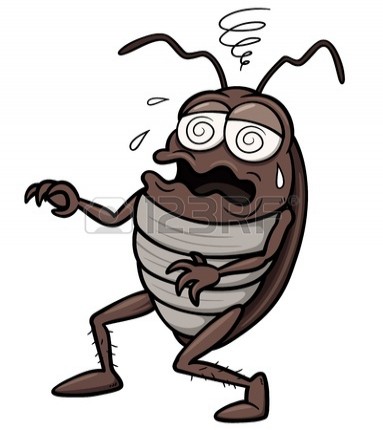 Πώς θα ξεπεράσω το φόβο για τις … κατσαρίδες;