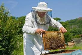 Εκλογές στον Σύλλογο Μελισσοκόμων Γρεβενών