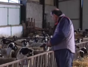 Το Βραβείο της Καλύτερης Κτηνοτροφικής εκμετάλλευσης για το 2014 απονεμήθηκε στον Μιχάλη Κλωνάρα από τον Ταξιάρχη Γρεβενών (video)