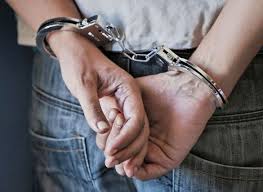Γρεβενά: Σύλληψη δύο ατόμων για κλοπή
