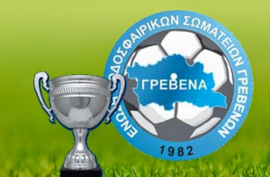 Την Κυριακή θα διεξαχθεί  ο τελικός Κυπέλλου της ΕΠΣ Γρεβενών  ανάμεσα στον Πυρσό και την  ΑΕΠ Βατολάκκου στο ΔΑΚ