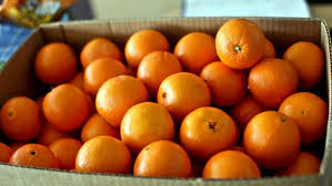 Διανομή πορτοκαλιών από τον Δήμο Γρεβενών