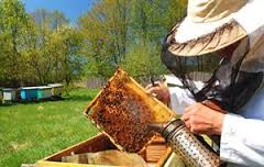 Κοπή πίτας του Μελισσοκομικού Συλλόγου Γρεβενών
