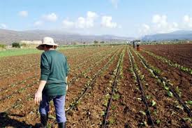 «Ραβασάκια» σε 12.000 αγρότες για τις παράνομες ενισχύσεις. Μεταξύ αυτών αρκετοί Γρεβενιώτες