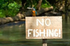 Απαγορεύεται η αλιεία στους ποταμούς των Γρεβενών