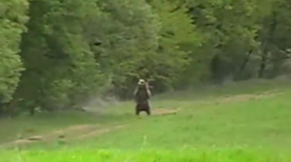 Σούζα η Αρκουδίτσα στην Περιστέρα Βοΐου Κοζάνης (Βίντεο)