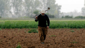 ΟΠΕΚΕΠΕ: Συμβουλές προς τους αγρότες για τη σωστή υποβολή αιτήσεων