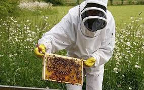 Αιτήσεις μελισσοκόμων της ΠΕ Γρεβενών για την Ενίσχυση της δράσης 4.1 « Αναλύσεις μελιού» μέχρι 31 Ιουλίου