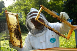 Κάλεσμα του Μελισσοκομικού Συλλόγου Γρεβενών προς τα μέλη του