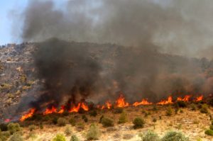 Τα δάση της Σαμαρίνας καίγονται για δέκατη μέρα