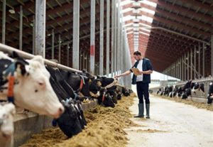 Δ/νση Αγροτικής Οικονομίας και Κτηνιατρικής: Πότε θα πληρωθούν οι κτηνοτρόφοι