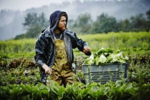 Π.Ε. Γρεβενών: Ένταξη επιλαχόντων στο πρόγραμμα νέων γεωργών