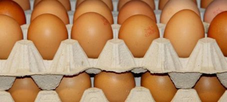 Διαμαρτυρία του ΠΑΝ.Σ.Ε.Κ.Τ.Ε. για την τοξική ουσία FIPRONIL που βρέθηκε στα αυγά. Έκθετοι οι επιχειρηματίες και οι καταστηματάρχες