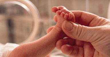 Γρεβενά: Τριπλάσιοι οι θάνατοι από τις γεννήσεις την εξαετία των μνημονίων. Δημογραφικά στοιχεία δημοσιεύει η Ανωτάτη Συνομοσπονδία Πολυτέκνων Ελλάδος