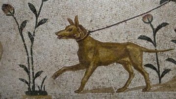 Τα περίεργα ονόματα που έδιναν οι Αρχαίοι Έλληνες στα σκυλιά τους