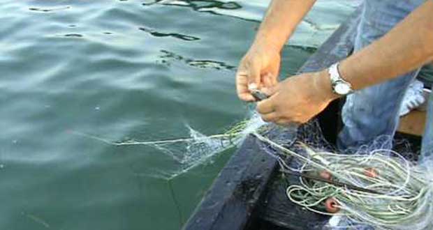 Απαγόρευση αλιείας στα εσωτερικά νερά της Περιφερειακής Ενότητας Γρεβενών, λόγω αναπαραγωγής των ψαριών