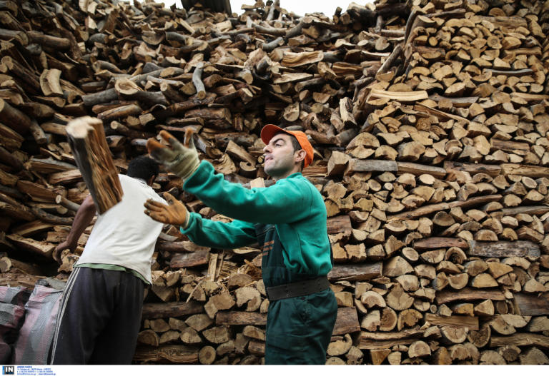 Άνοιξη Γρεβενών: Αναγκαστικός συνεταιρισμός διαχείρισης αδιαίρετου δάσους