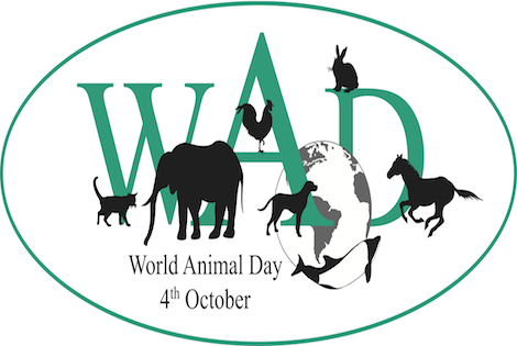 Παγκόσμια Ημέρα των Ζώων: Μία υπενθύμιση της αγάπης που αξίζουν