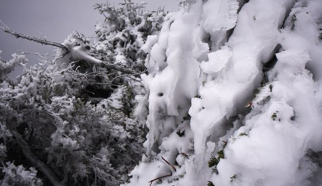 Στα λευκά η Βόρεια Ελλάδα -Έντονη χιονόπτωση, το έστρωσε σε Φλώρινα, Ξάνθη, πόλεις και χωριά της Θράκης