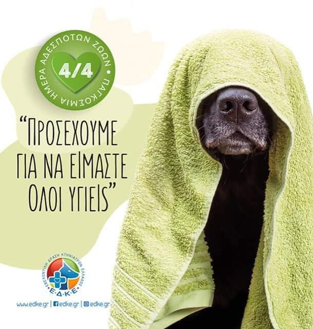 Οδηγίες φροντίδας για τα κατοικίδια μας εν μέσω κορονοϊού από την Εθελοντική Δράση Κτηνιάτρων Ελλάδας