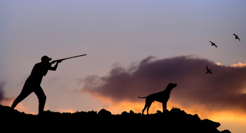 Τριακόσιες άδειες κυνηγιού έχουν εκδοθεί έως σήμερα από τον Κυνηγετικό Σύλλογο Γρεβενών