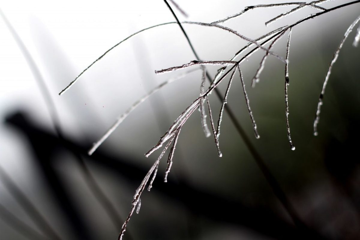 Στους -6,2 έπεσε το θερμόμετρο σήμερα το πρωί στην πόλη των Γρεβενών – Έρχονται βροχές από την Δευτέρα
