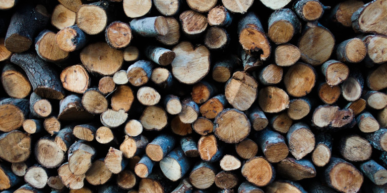 Το Δασαρχείο μήνυσε δύο εμπόρους ξυλείας του δάσους Αϊδονιών
