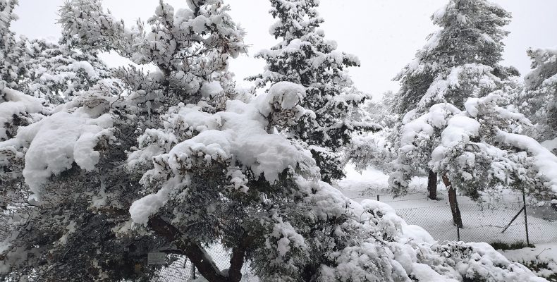 Ιωάννινα: Χιονοπτώσεις στα ορεινά του νομού