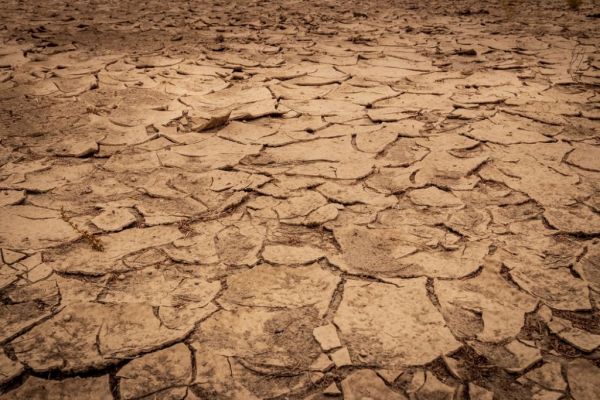 Ευρώπη: Οι χειρότερες ξηρασίες εδώ και 2.000 χρόνια!