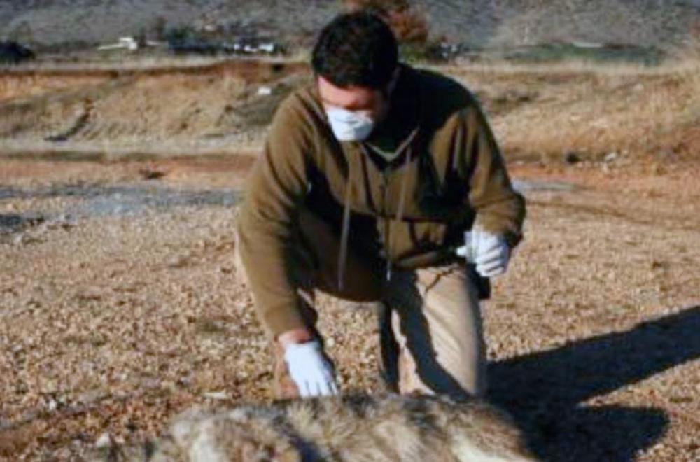 Περισυλλογή και διαχείριση νεκρών ζώων και κατασχεθέντων προϊόντων σε Γρεβενά, Καστοριά, Κοζάνη, Φλώρινα