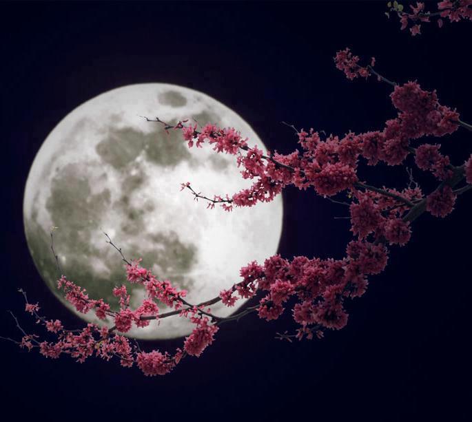 «Φεγγάρι της Φράουλας» αύριο- Τι ιδιαίτερο έχει η υπερπανσέληνος της Πέμπτης