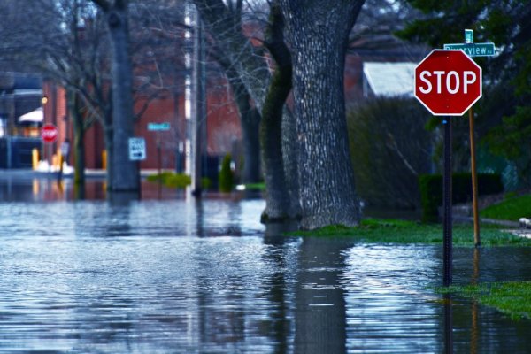 Προειδοποίηση Λέκκα: Μετά τις φωτιές νέες απειλές με πλημμυρικά φαινόμενα -Τουλάχιστον μια δεκαετία για να ανακάμψουν οι περιοχές