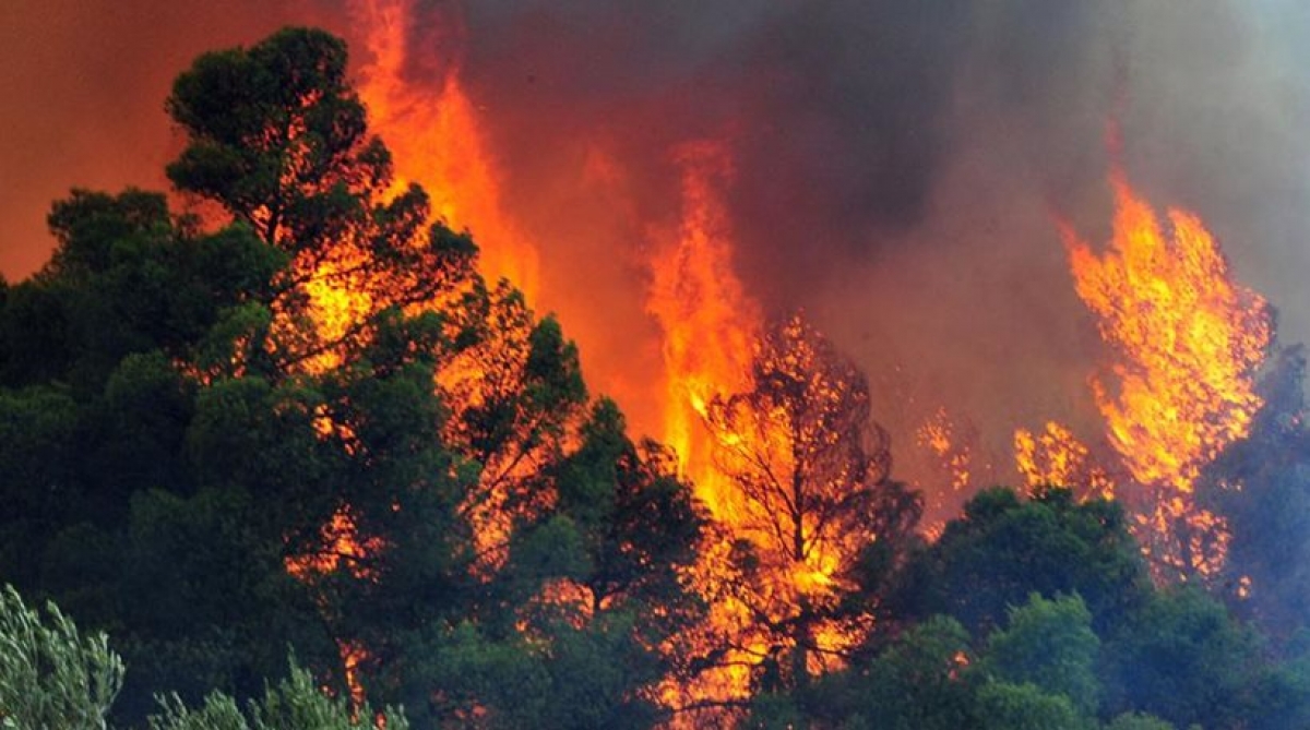 Σκληρή μάχη της Πυροσβεστικής Υπηρεσίας Γρεβενών για να περιορίσουν την πυρκαγιά μεταξύ των Κοινοτήτων Καρπερού και Φελλίου