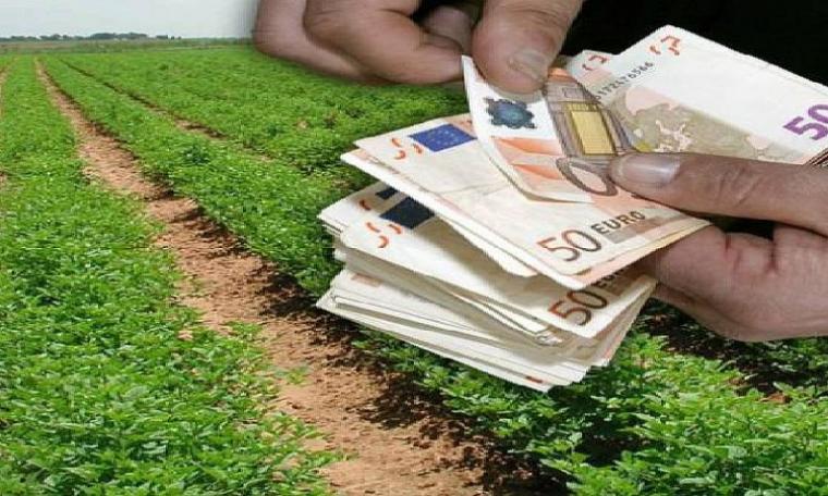 ΕΛΓΑ: Σήμερα, Μεγάλη Τρίτη, η πληρωμή αποζημιώσεων 29,2 εκατ. ευρώ σε 12.803 αγρότες και κτηνοτρόφους