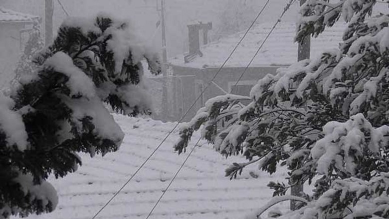 Πυκνή χιονόπτωση σε χωριά της Κοζάνης- Ντύθηκαν στα λευκά