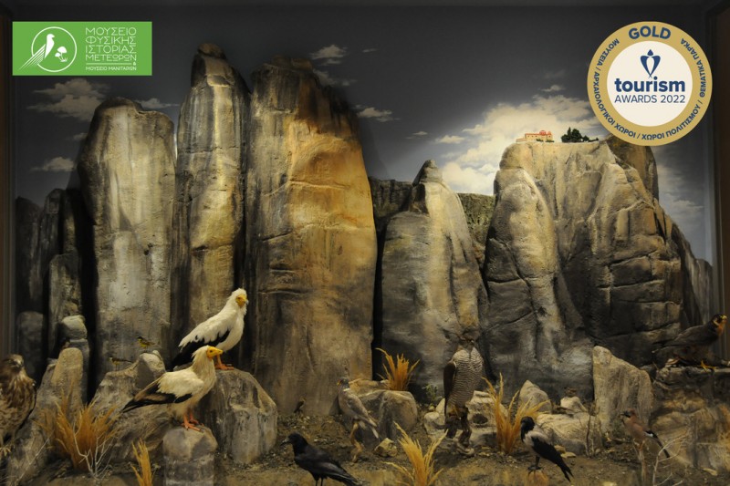 Χρυσό το Μουσείο Φυσικής Ιστορίας Μετεώρων και Μουσείο Μανιταριών- Εννέα καινούρια βραβεία