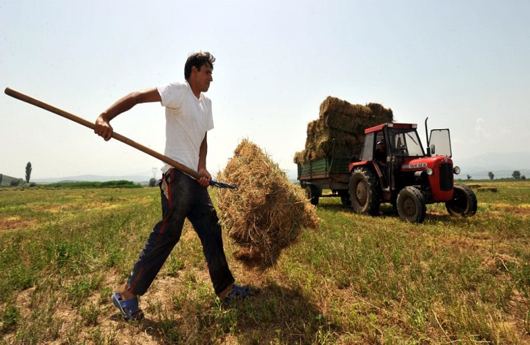 Διπλή ”ανάσα” στους αγρότες-Ξεκινούν επιστροφές φόρου για το αγροτικό πετρέλαιο, αυξημένες επιδοτήσεις ρεύματος